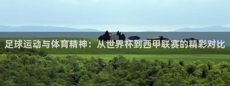 足球运动与体育精神：从世界杯到西甲联赛的精彩对比